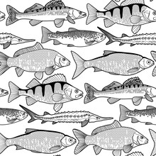 Graphic Freshwater Fish Pattern