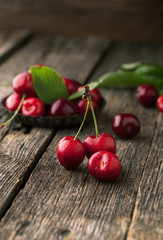 Sticker - Ripe cherry with leaf