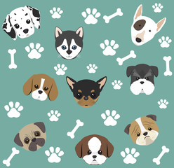 Wall Mural - pet shop design, vector illustration eps10 graphic 