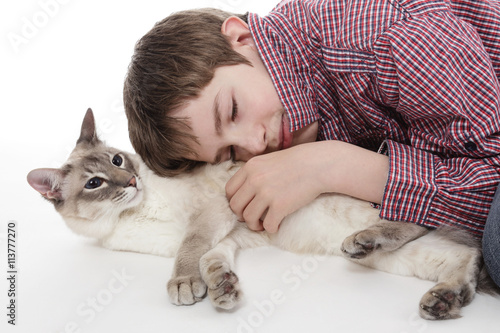 Chat Siamois Blue Point Avec Enfant Dormant Stock Photo Adobe Stock