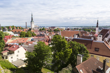 Wall Mural - Tallin Estonia