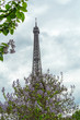 Eiffel tower partially hidden by spring flowers, Trocadero view