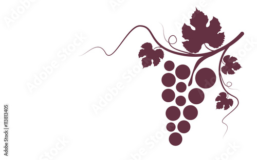 Cuadros en Lienzo bunch of red grapes with leaves