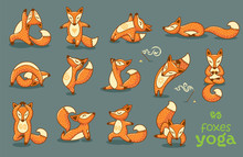 Set Of Cartoon Funny Foxes Doing Yoga Position