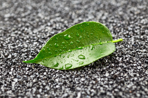 Naklejka - mata magnetyczna na lodówkę Leaf with drops of water