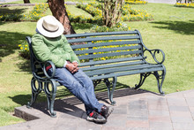 Man Napping On Park Bench.