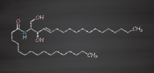 Poster - Ceramide cell membrane lipid molecule.