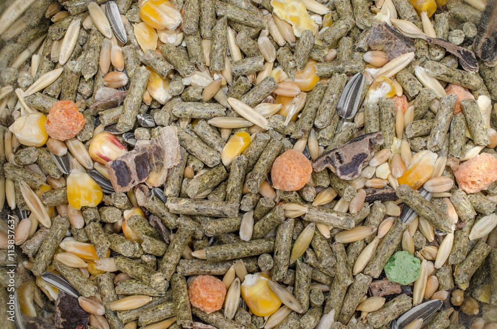 Stock-Foto Trockenfutter (Meerschweinchen/Kaninchen) | Adobe Stock