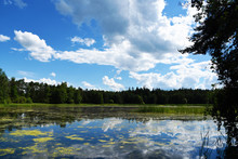 Pond In South Bohemia Named Zdarsky