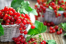 Organic Red Currant In Wicker Basket