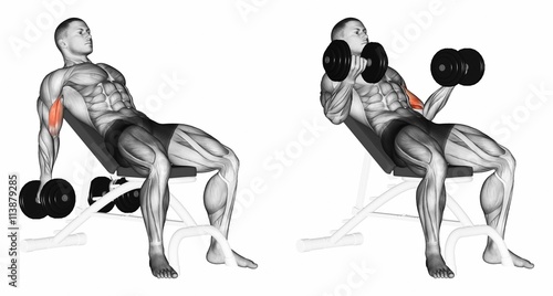 Plakat Podnoszenie hantle dla mięśni bicepsów na ławce pochyłości. Ćwiczenia dla kulturystów Mięśnie docelowe zaznaczono na czerwono. Początkowe i końcowe kroki. 3D ilustracji