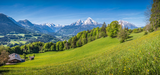 Wall Mural - Idyllic landscape in the Alps with traditional mountain lodge in springtime