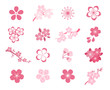 Cherry blossom japanese sakura vector icon set