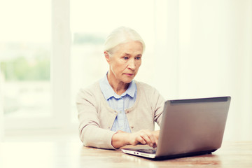 Wall Mural - senior woman with laptop at home