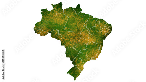 Fotografía Brazil tropical texture map