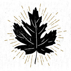 Hand drawn icon with a textured maple leaf vector illustration.