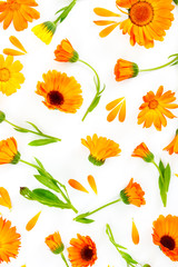 Canvas Print - Flat lay composition with flowers calendula on white background.