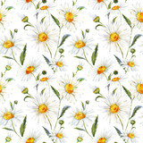 Watercolor daisy pattern