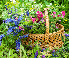 Basket With Wildflowers