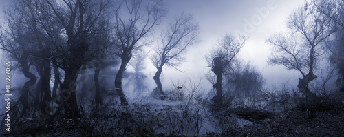 Fotografía Creepy landscape showing misty dark swamp in autumn.