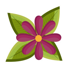 Wall Mural - purple flower and green tree leaves front view over isolated background,vector illustration