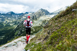 Fototapeta Góry - middle age man in sportswear running on trail in  high mountain scenery with peaks