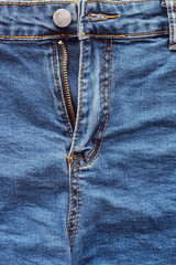 Canvas Print - jeans zipper for pattern