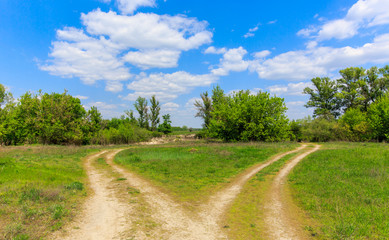 fork roads over green meadow