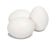 White eggs on white
