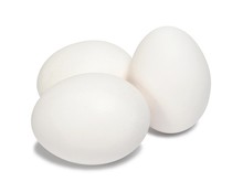 White Eggs On White