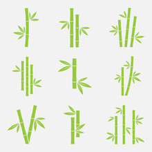 Bamboo Vector Icon