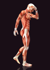 Wall Mural - 3D render of a male figure with head pain