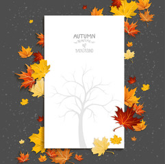 Wall Mural - white blank on autumn background
