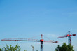 строительные краны на фоне голубого неба