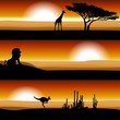 Animals on the savannah at sunset