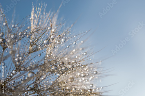 Naklejka na szybę Abstract macro photo