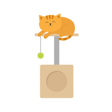 Cute Lying Sleeping Orange Cat. Moustache Whisker. Funny Cartoon Character. Scrathing Rope Post. Square House With Hanging Ball Toy. Isolated. White Background. Pink And Blue Color. Flat Design.