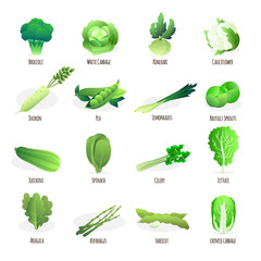 Wall Mural - Green vegetables flat icons collection 