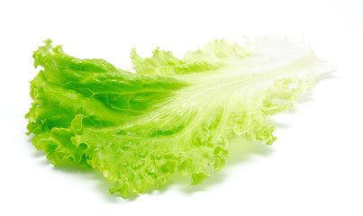 Fresh lettuce leaves isolated on a white