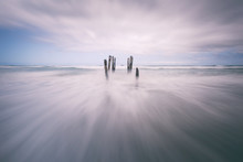 Old Jetty Piles At St. Clair Beach In Dunedin At Dawn