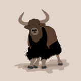 Fototapeta Dinusie - musk ox mountain yak Mountain bull vector illustration 