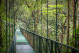 Fototapeta Fototapety z mostem - Wiszący most w dżungli / Krajobraz