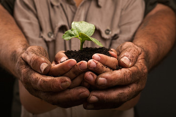 farmers  hand holding soil surface