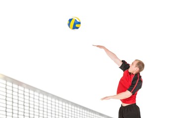 Wall Mural - Sportsman hitting volleyball