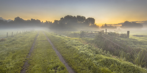 Wall Mural - Foggy farmland with dirt track