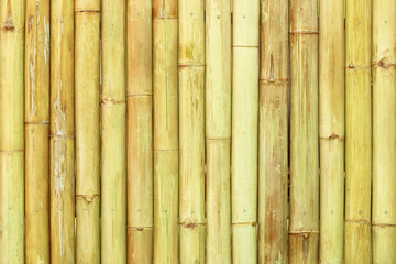 Old bamboo fence background; Old natural bamboo fence texture ba