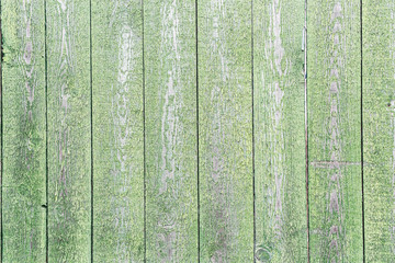  Aged green wooden background.