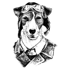 Wall Mural - Hand drawn dressed up dog aviator