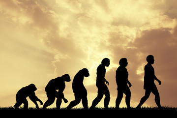 Poster - Human evolution