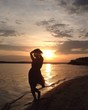 © tasha - woman silhouette on sunset near river